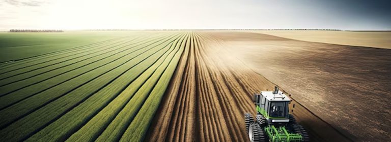 agronegocio consultoria